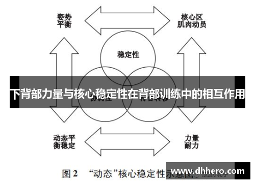 下背部力量与核心稳定性在背部训练中的相互作用
