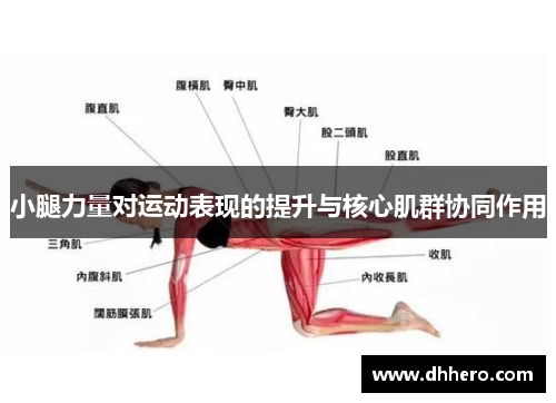 小腿力量对运动表现的提升与核心肌群协同作用