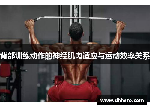 背部训练动作的神经肌肉适应与运动效率关系