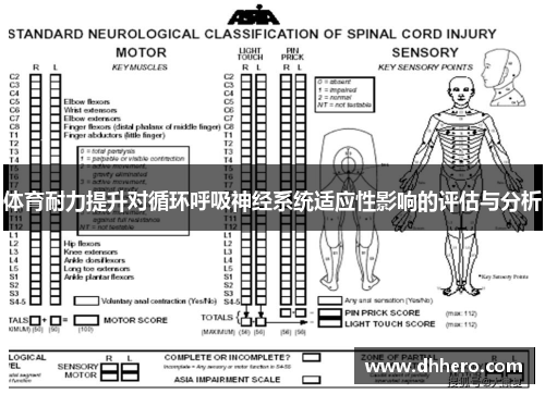 体育耐力提升对循环呼吸神经系统适应性影响的评估与分析